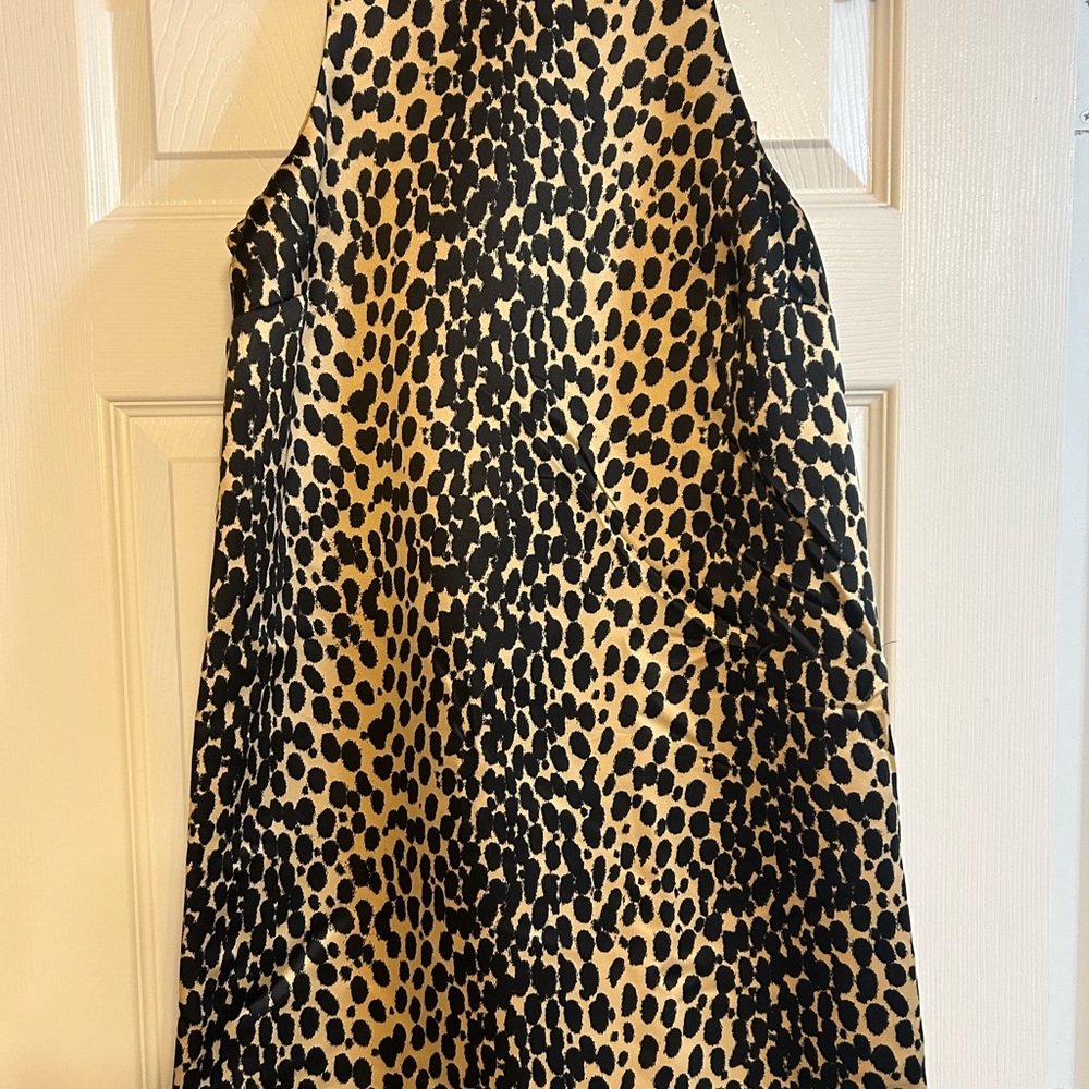 Stylish Black and Tan Mini Dress